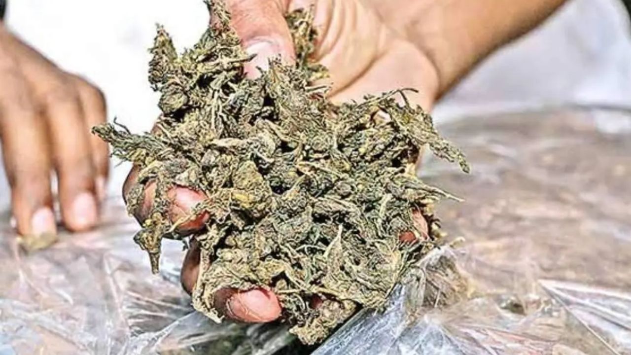 Ganja Smuggling: గంజాయి కేటుగాళ్లుగా కానిస్టేబుల్స్.. విశాఖలో ఐదుగురు అరెస్ట్!