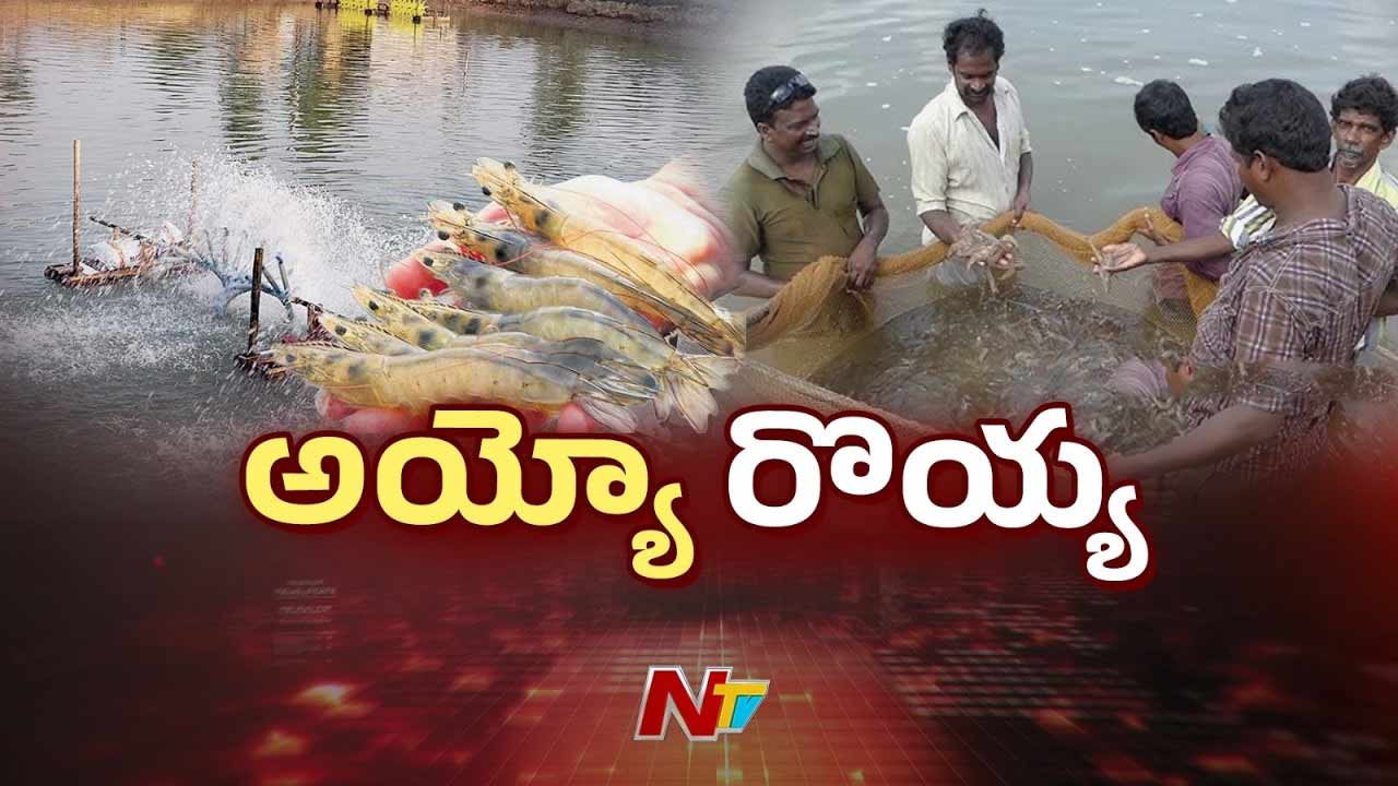 Aqua Sector: ఆక్వా రంగంపై యుద్ధం ప్రభావం