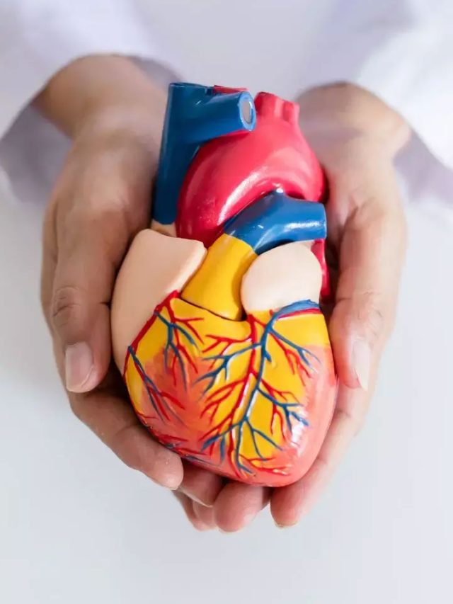 కొలెస్ట్రాల్ తగ్గించి గుండెను ఆరోగ్యంగా ఉంచే 10 అలవాట్లు ఇవే..!