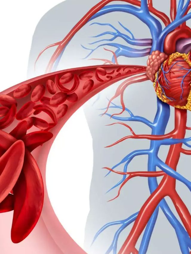 బాడీ డిటాక్స్ & రక్త ప్రసరణ బాగా కావాలంటే ఈ ఫుడ్స్ మిస్ అవ్వొద్దు!