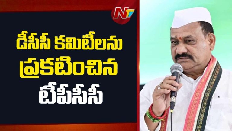 TPCC Mahesh Goud : డీసీసీ కమిటీలను ప్రకటించిన టీపీసీసీ చీఫ్