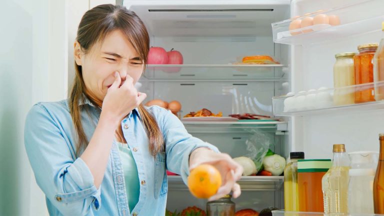 Fridge Cleaning Tips: మీ ఫ్రిడ్జ్ నుంచి దుర్వాసన వస్తుందా..? ఈ ట్రిక్‌తో కొత్తదిలా మారుతుంది.!