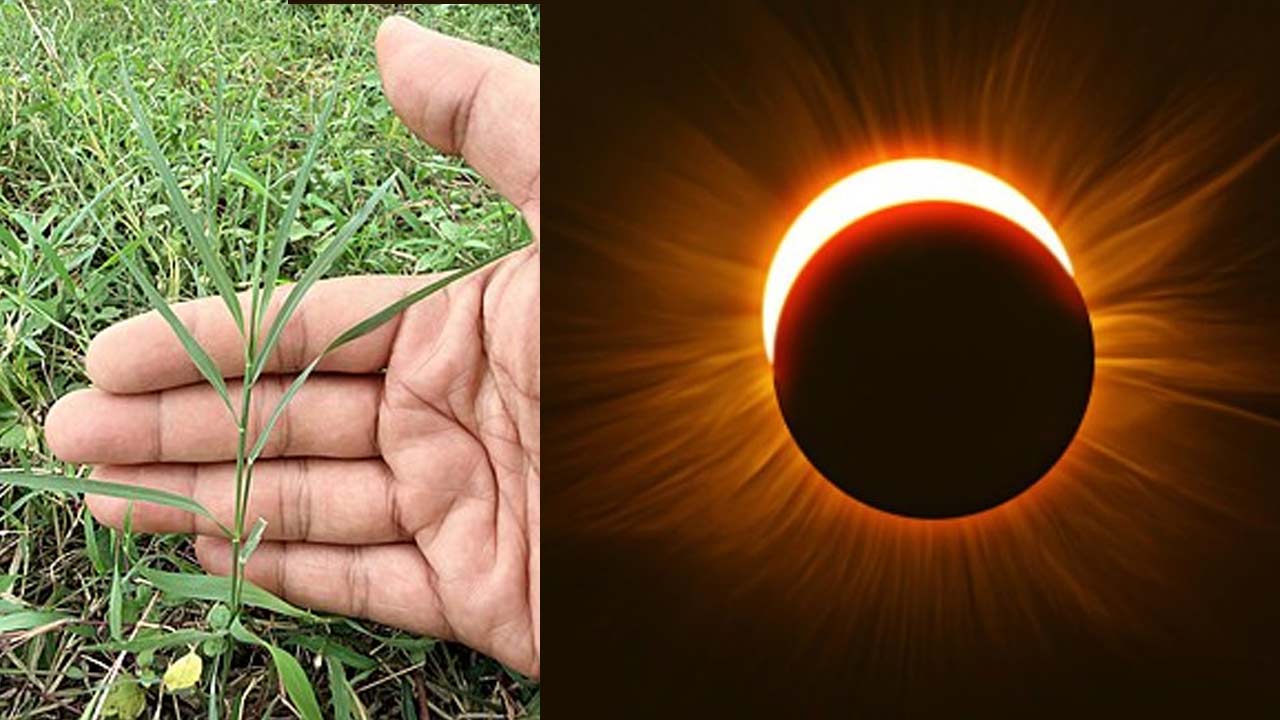 Garika: గ్రహణ సమయంలో ఇంట్లో అన్నిటి మీద గరిక గడ్డి ఎందుకు పెడతారు?.. దీని వెనుక అసలు కారణాలు ఇవే!