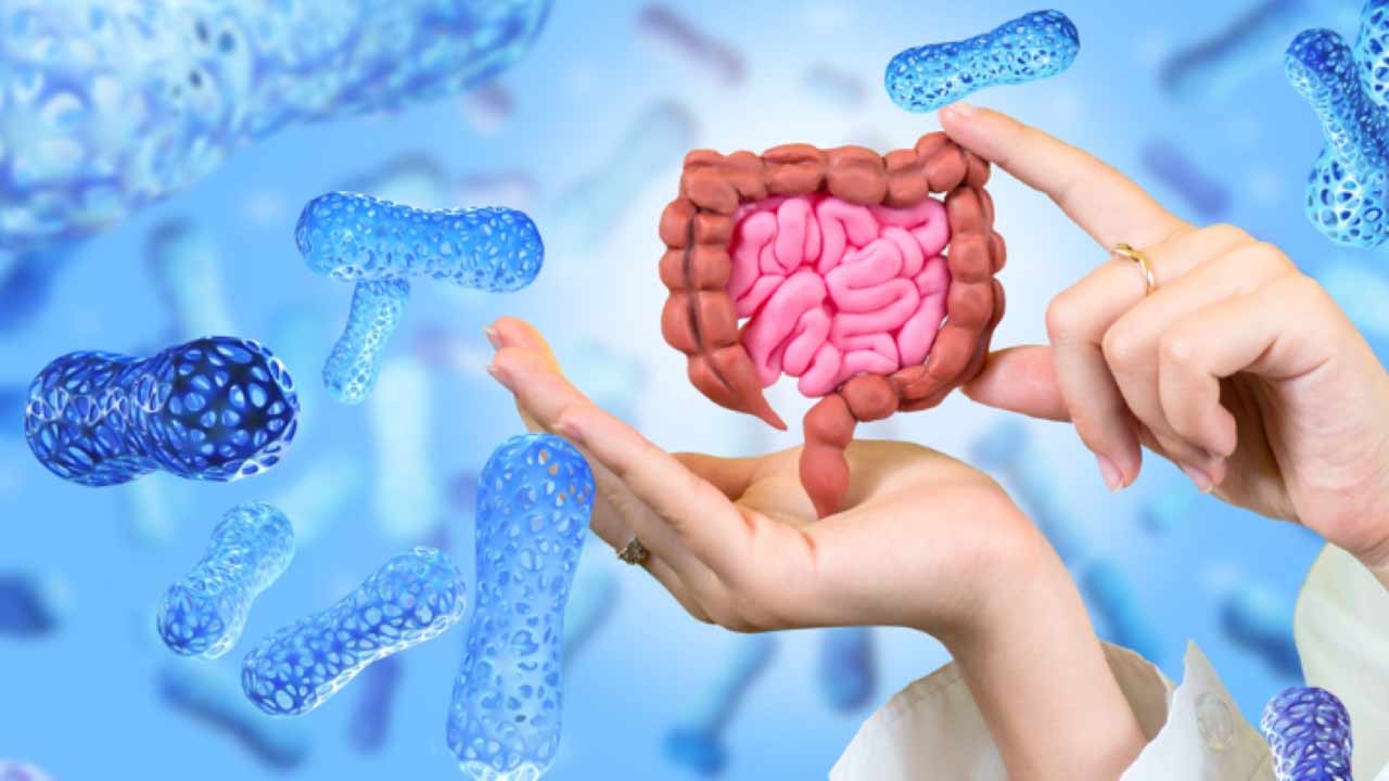 Gut Health : పేగుల్లో మంచి బ్యాక్టీరియాను పెంచే ఆహారాలు ఇవే.!