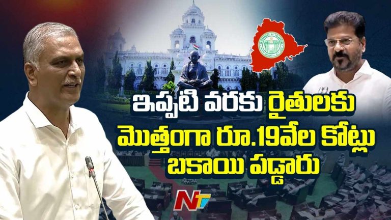 Harish Rao : కాంగ్రెస్ సర్కార్‌ది ఎగవేతల పాలన.. రైతులకు అడుగడుగునా దగా