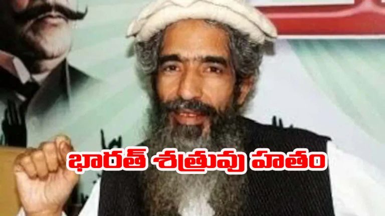 Amir Hamza: భారత్ శత్రువు లష్కరే తోయిబా సహ వ్యవస్థాపకుడు అమీర్ హమ్జా హతం