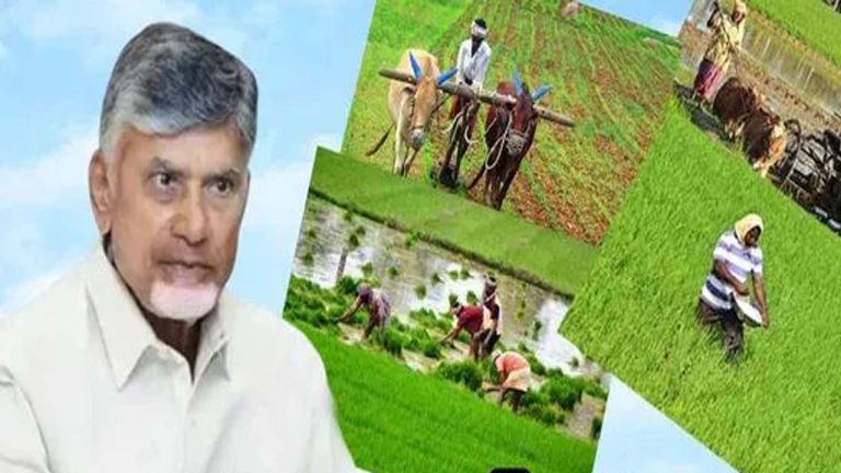 Chandrababu Naidu: రైతులకు మరో శుభవార్త చెప్పిన సీఎం చంద్రబాబు నాయుడు.. వారందరికీ..