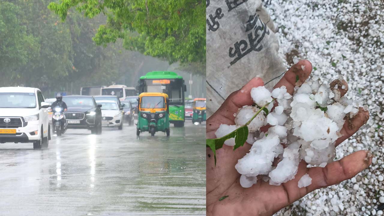 delhi rain imd alert hailstorms ncr up weather