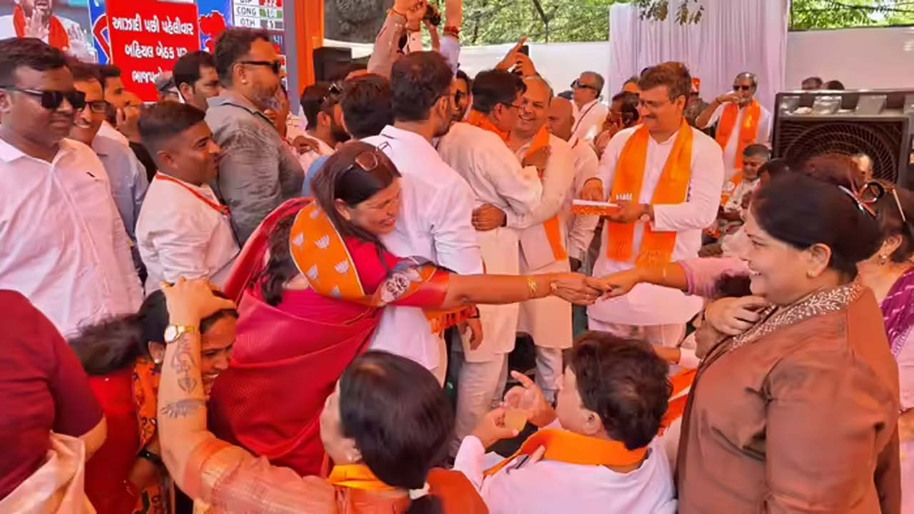 gujarat municipal election results bjp sweeps all corporations