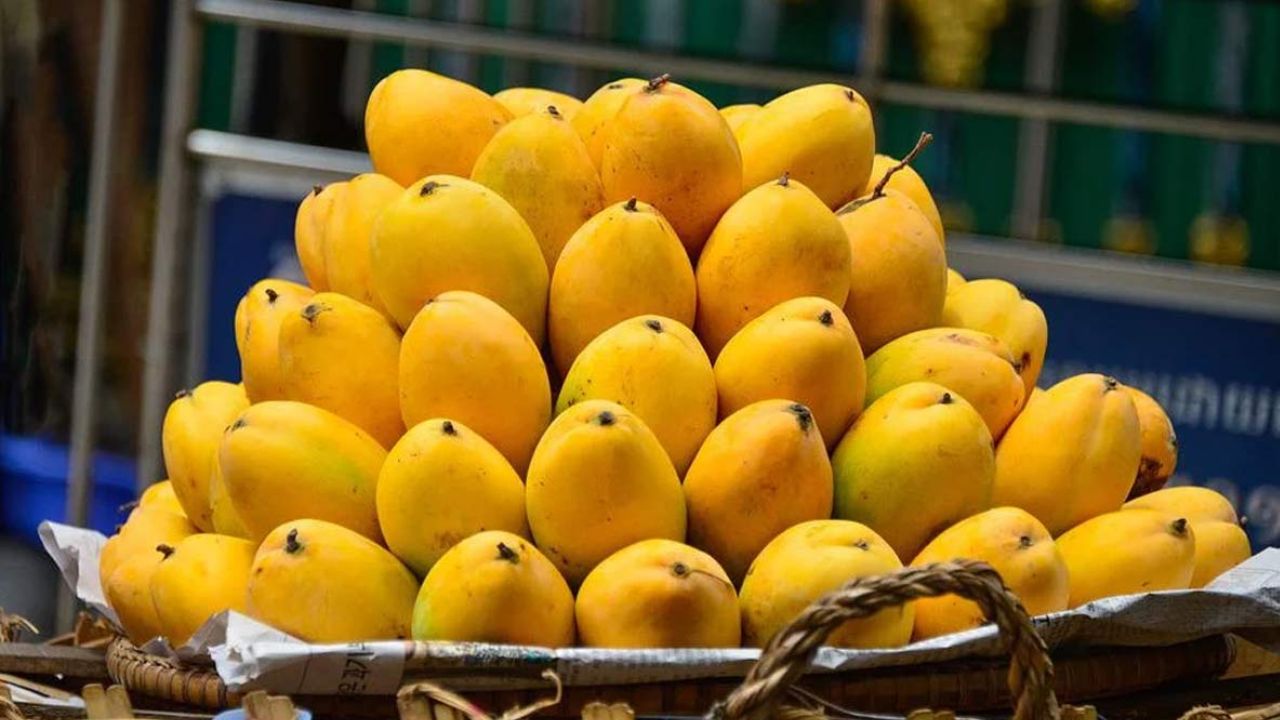 how to choose the perfect mango tips to pick sweet and juicy mangoes