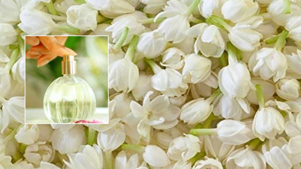 Jasmine Perfume At Home