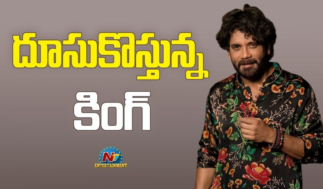 KING 100 : దూసుకొస్తున్న కింగ్.. జెట్ స్పీడ్ లో సైలెంట్ గా షూటింగ్