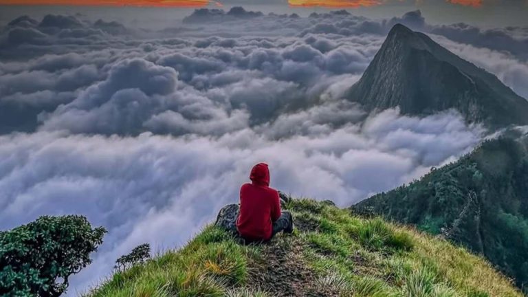 Kolukkumalai : భూమిపై మరో స్వర్గం.. కొలుక్కుమలై ‘మేఘాల మంచం’పై ఎప్పుడైనా నిద్రపోయారా.?