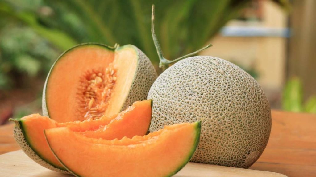 Muskmelon Health Risks