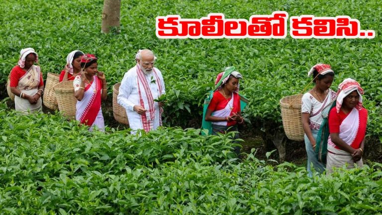 PM Modi: తేయాకు తోటలో కూలీలతో కలిసి పని చేసిన మోడీ.. ఫొటోలు వైరల్