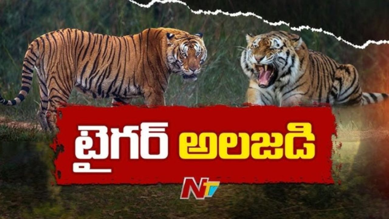 Polavaram-Tiger: పోలవరం జిల్లాలో పులి సంచారం కలకలం.. జనాలను అప్రమత్తం చేసిన అటవీ శాఖ!
