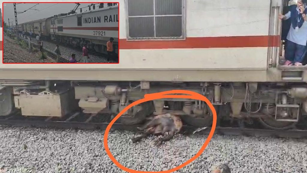 Simhadri Express Train