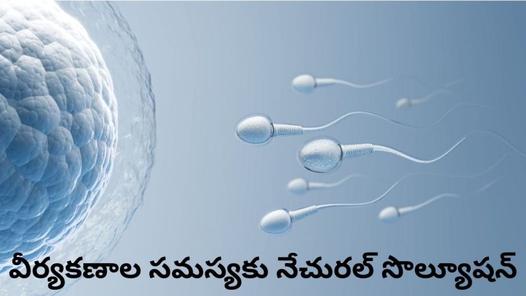 Improve Sperm Quality: వీర్యకణాల సమస్యకు నేచురల్ సొల్యూషన్.. వీర్య నాణ్యత పెంచే ఆహారపదార్థాలు ఇవే.!