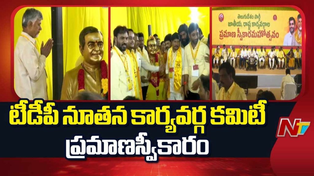 Tdp New Executive Committee