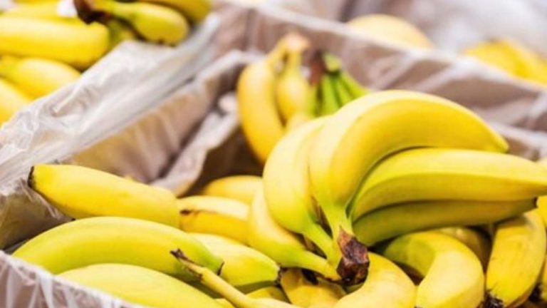 Banana Health Benefits: కెమికల్స్ తో పండించిన అరటిపండ్లను తింటున్నారా? FSSAI మార్గదర్శకాలతో నిమిషాల్లో గుర్తించొచ్చు!