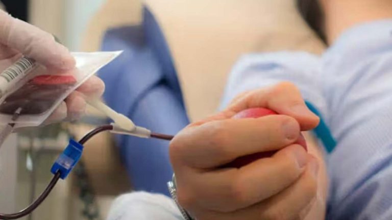 Iron Rich Foods: బాబోయ్ బ్లడ్ తగ్గిందా?.. ఇవి తింటే సరిపడా రక్తం పడుతుంది!