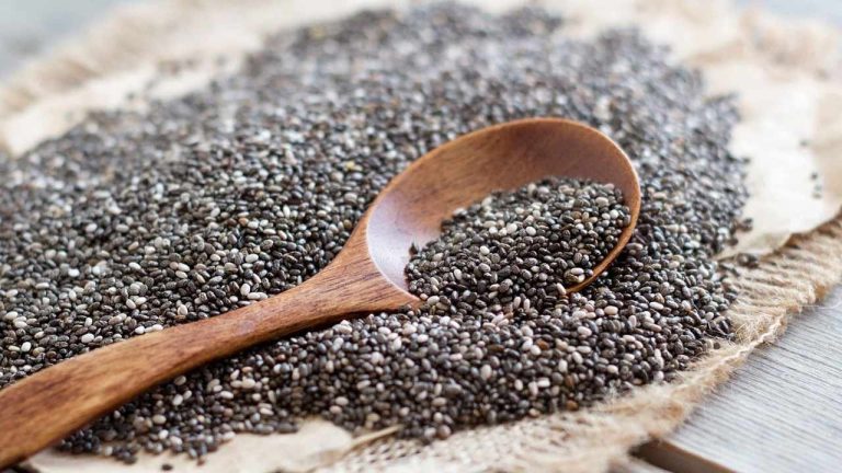 Chia Seeds : మధుమేహానికి చెక్ పెట్టే చియా సీడ్స్.. షుగర్ లెవల్స్ తగ్గాలంటే ఇలా తిని చూడండి!