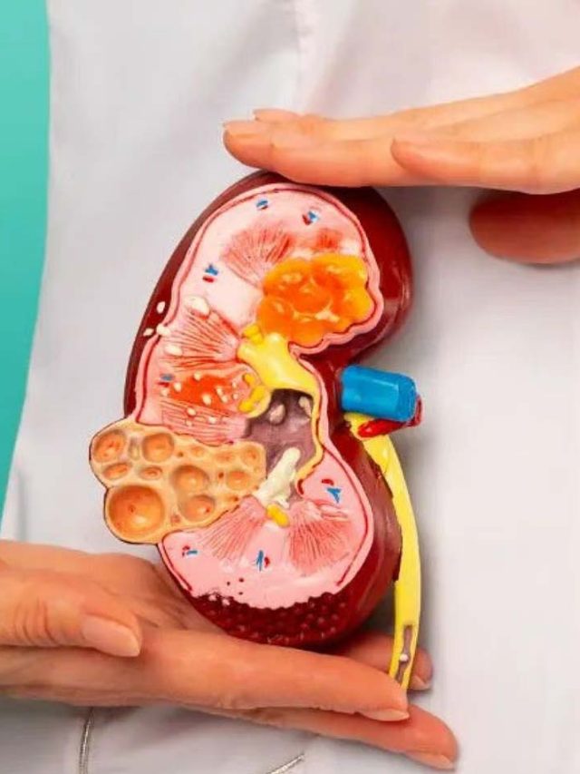 కిడ్నీ రాళ్లు కరిగించాలా? ఈ డైట్ తప్పనిసరి!