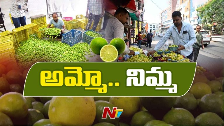 Lemon Price Hike : నిమ్మ రైతుల పంట పండింది.. కిలో రూ.200