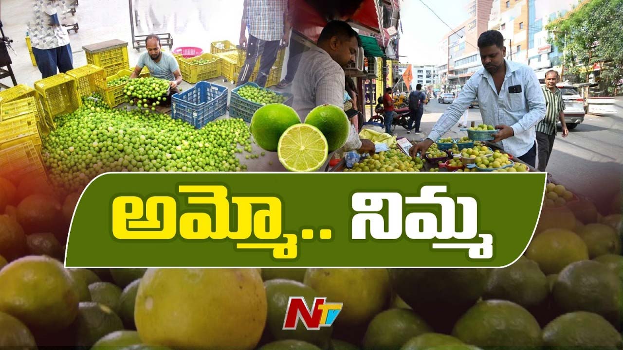 Lemon Price Hike : నిమ్మ రైతుల పంట పండింది.. కిలో రూ.200