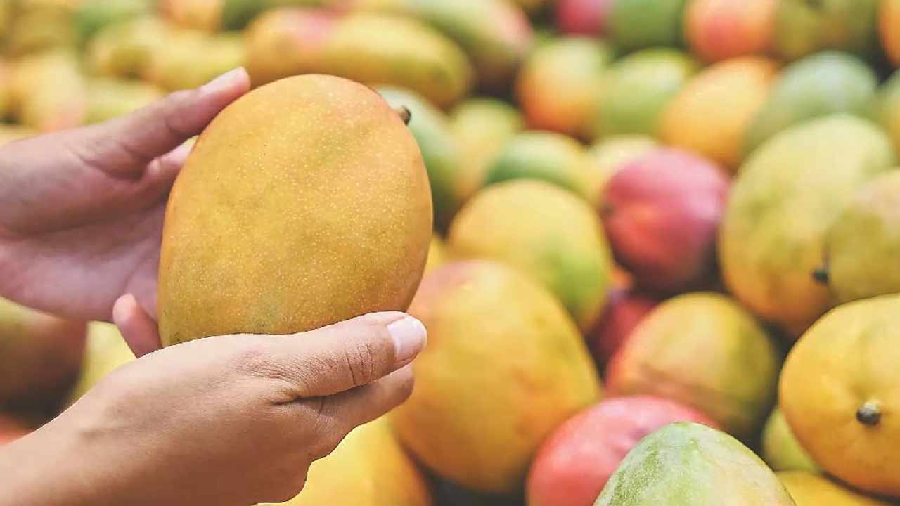 how to identify chemical ripened mangoes fssai tips