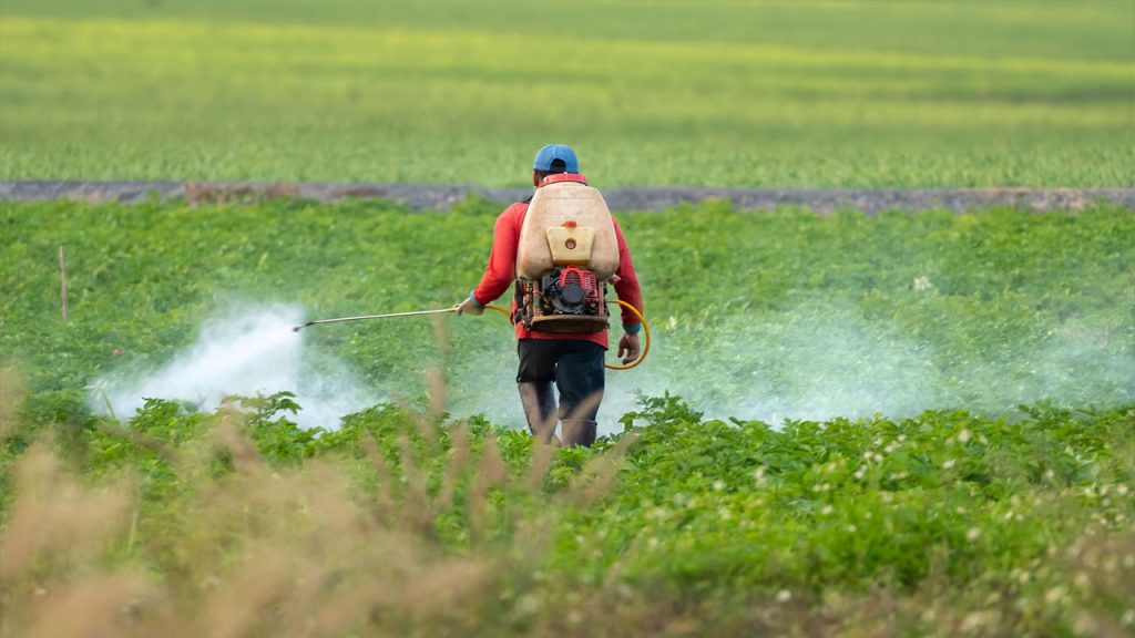 Pesticides Linked