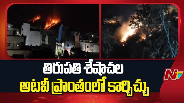 Seshachalam Forest : శేషాచలం అడవుల్లో కార్చిచ్చు.. జీవకోన ప్రాంతంలో ఎగిసిపడుతున్న మంటలు.!