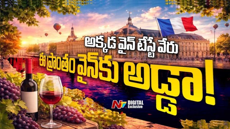Bordeaux : ఈ ఒక్క ప్రాంతం వైన్ ప్రపంచాన్ని ఎలా మార్చింది..??