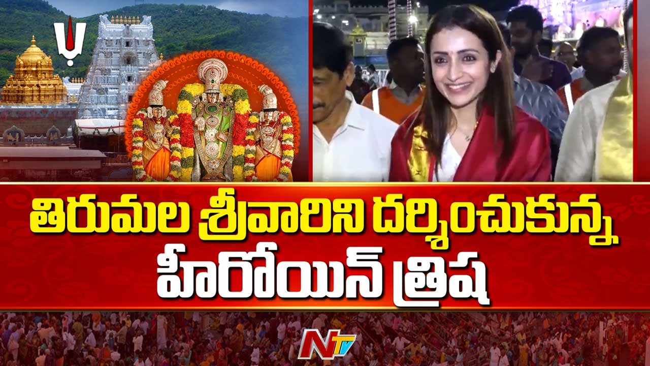 Trisha Visits Tirumala: తమిళనాడు ఫలితాల ముందు తిరుమలలో హీరోయిన్ త్రిషా దర్శనం.. టీవీకే విజయానికి ప్రార్థనలు..?