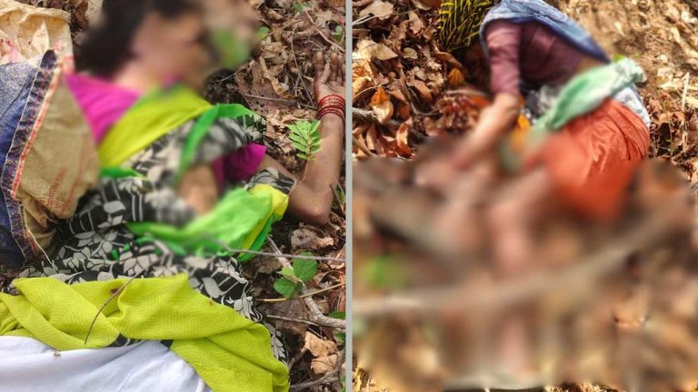 Tiger Attack: ఘోరం.. తునికాకు కోసం అడవికి వెళ్లిన మహిళలపై పెద్దపులి దాడి.. నలుగురు మృతి