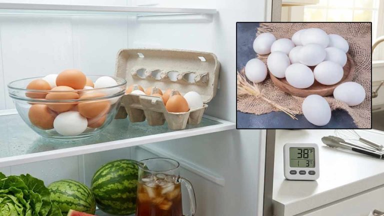 Egg Storage Tips in Summer: వేసవిలో గుడ్లు ఎన్ని రోజులు నిల్వ ఉంటాయి..? తినే ముందు తప్పక తెలుసుకోవాల్సిన విషయాలు
