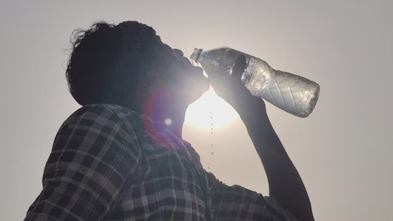 Heatwave : భారత్‌లో వేడి గాలులకు 30వేల మంది చనిపోతారా? అధ్యయనంలో సంచలన విషయాలు!