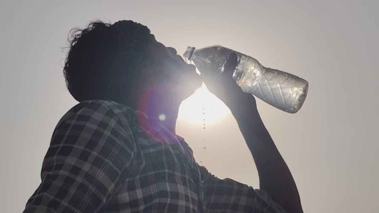 Heatwave : భారత్‌లో వేడి గాలులకు 30వేల మంది చనిపోతారా? అధ్యయనంలో సంచలన విషయాలు!