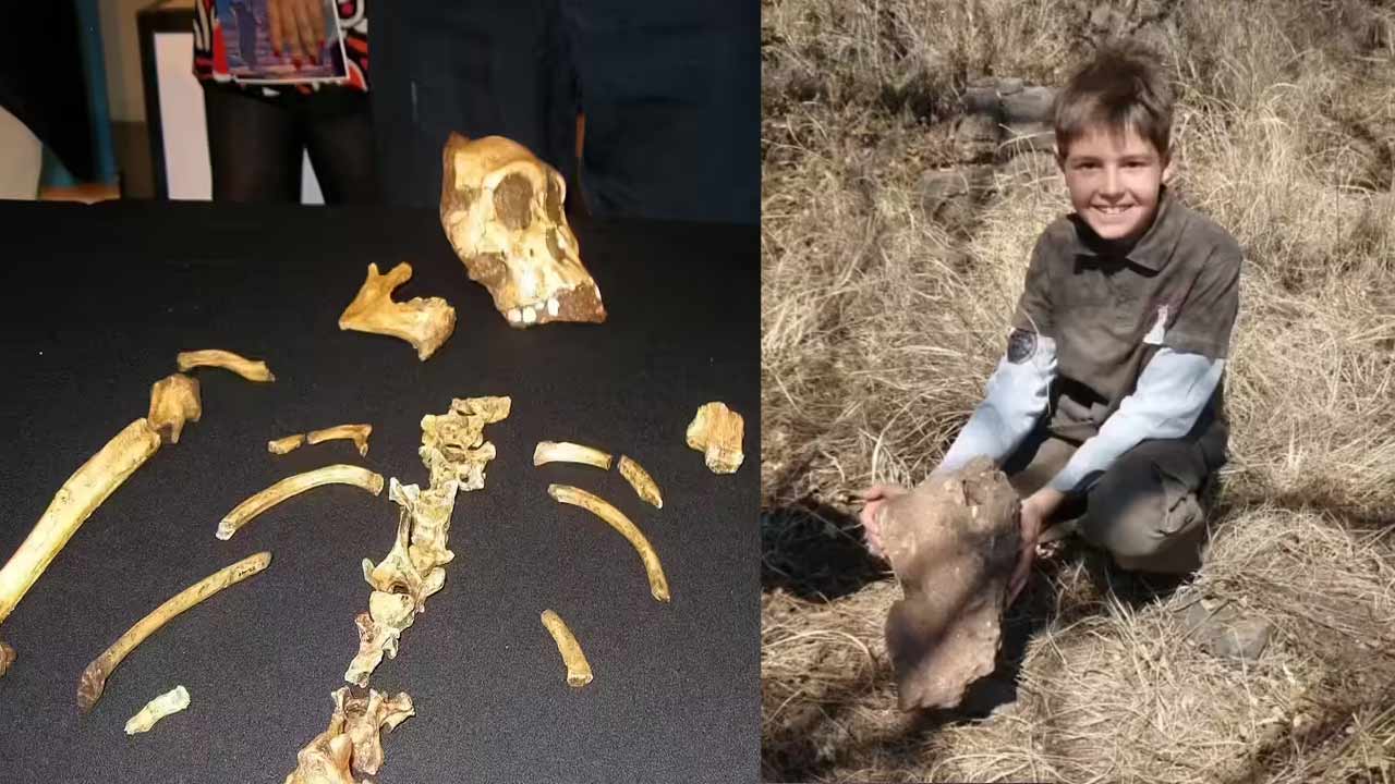 Matt Berger Fossil Discovery : కుక్క వెంట పరిగెత్తి.. 20 లక్షల ఏళ్ల రహస్యం బయటపెట్టిన బాలుడు.!