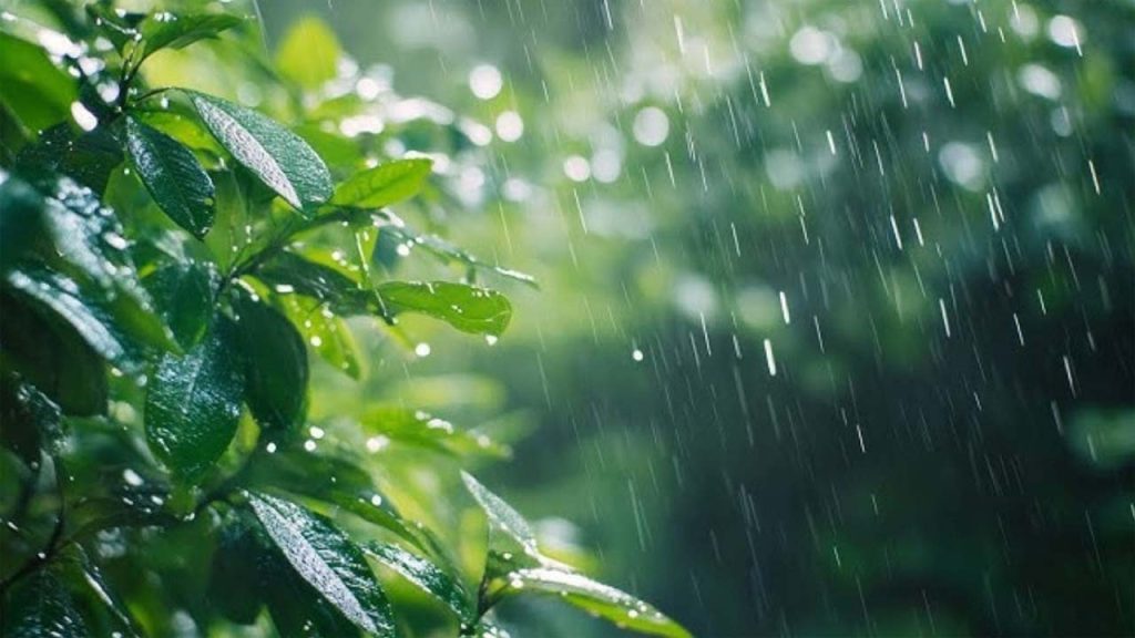 Monsoon