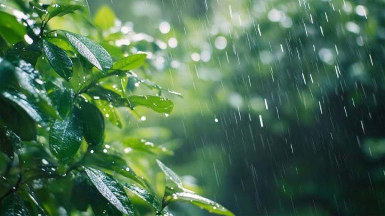 Monsoon Alert: భారతీయులకు శుభవార్త.. 5 రోజుల ముందే అండమాన్‌ను తాకనున్న తొలకరి జల్లు