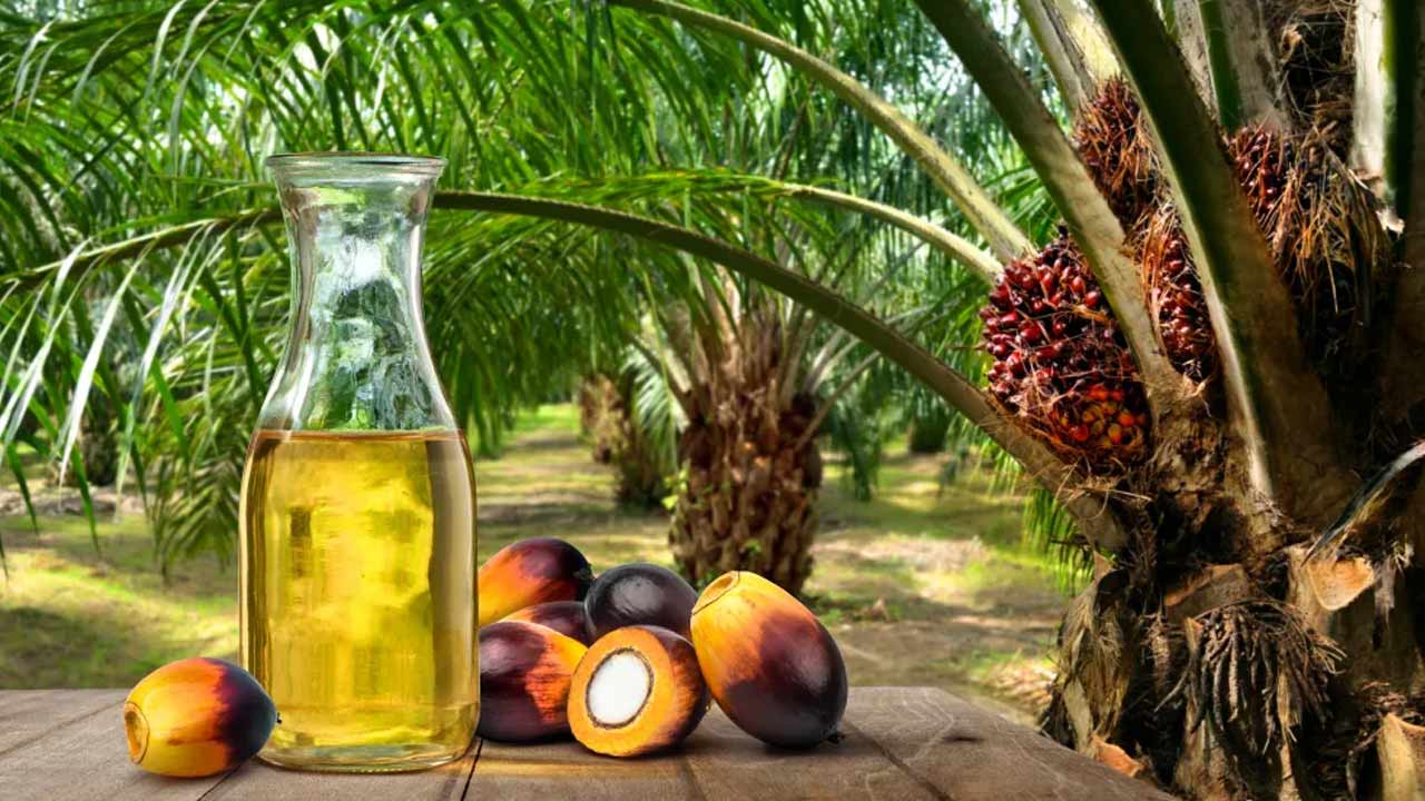 FSSAI : పామాయిల్‌పై కీలక ప్రకటన.. అపోహలు వద్దు.. అది సురక్షితం..!