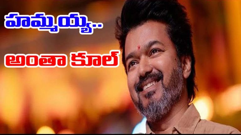 Tamil Nadu: హమ్మయ్య.. ఉత్కంఠకు తెర.. విజయ్‌కు వీసీకే మద్దతు