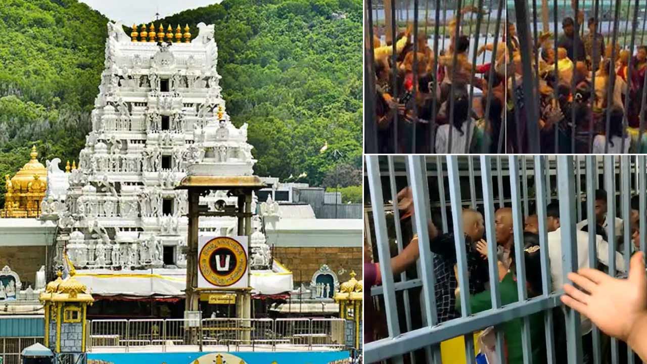 Tirumala Devotees Clash: తిరుమలలో భక్తుల రద్దీ.. క్యూ లైన్లలో పరస్పరం దాడులు.. వీడియోలు వైరల్..