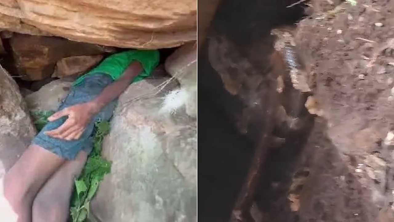 Viral: ఓ వైపు బండ రాళ్ల మధ్య ఇరుక్కున్న బాలుడి తల.. అదే సందులో విషపూరిత పాము.. చివరకు ఏమైందంటే..