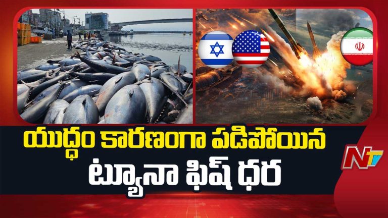 Fish Price Down: యుద్ధం ఎఫెక్ట్.. భారీగా పడిపోయిన ట్యూనా ఫిష్ ధర..