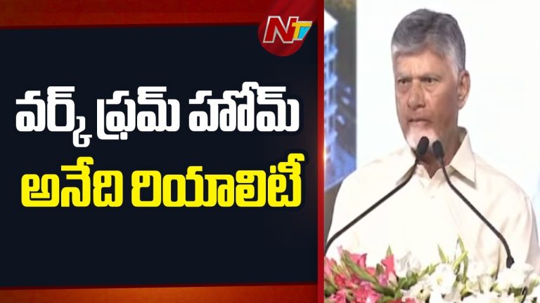 CM Chandrababu Naidu: వర్క్ ఫ్రం హోంపై సీఎం చంద్రబాబు నాయుడు కీలక వ్యాఖ్యలు..