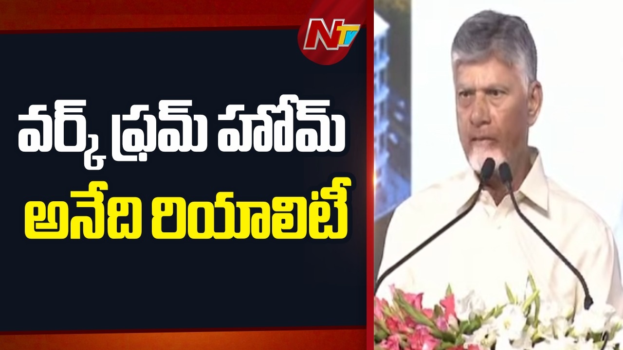 CM Chandrababu Naidu: వర్క్ ఫ్రం హోంపై సీఎం చంద్రబాబు నాయుడు కీలక వ్యాఖ్యలు..