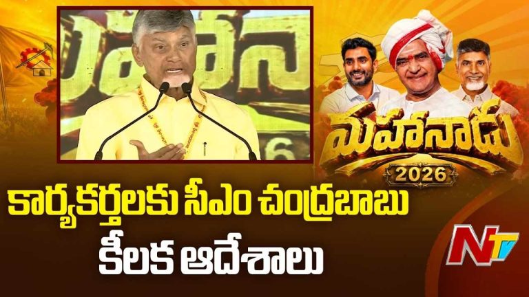 TDP Mahanadu: పసుపు జెండా చూస్తే వచ్చే వైబ్రేషన్సే వేరు.. మహానాడులో చంద్రబాబు భావోద్వేగ ప్రసంగం