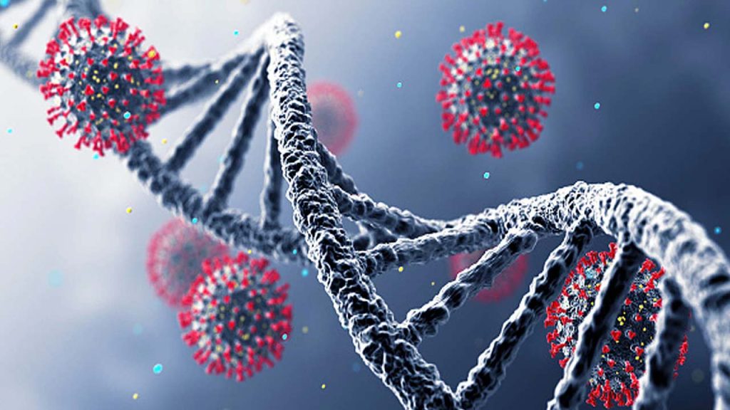 Corona Virus